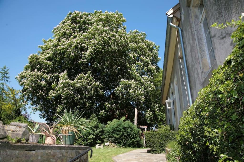 Haus Keppelborg: Zi Ferdinand Mit Rosengartenblick Heek Exterior foto